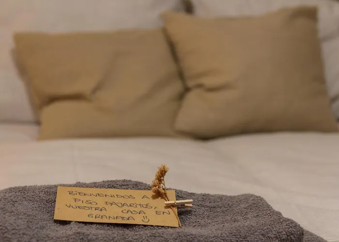 Piso Pajaritos